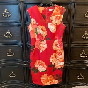 Used like new floral dress